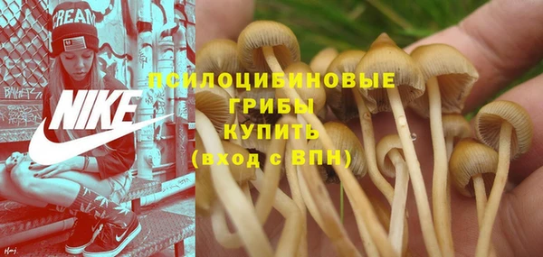 МДПВ Балахна
