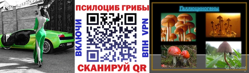 Галлюциногенные грибы MAGIC MUSHROOMS  дарнет шоп  Питкяранта 